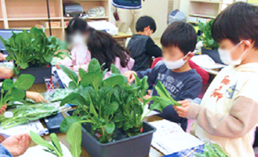 給食を受け取る子どもたち